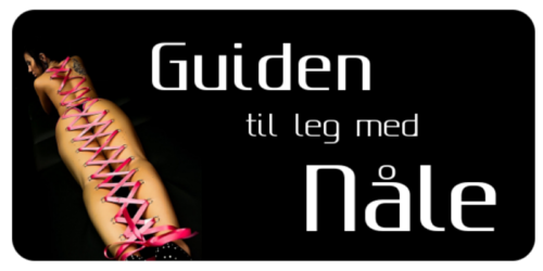 BDSM guide til nåleleg